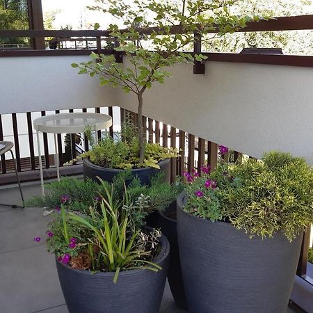 4Four Apartment, Villa Moderno, Taras, Parking Podziemny Torun Luaran gambar